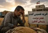 خرید تضمینی گندم؛ تعلل دولت، پشیمانی کشاورز