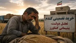 خرید تضمینی گندم؛ تعلل دولت، پشیمانی کشاورز