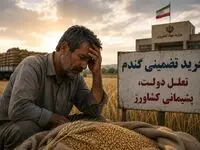 خرید تضمینی گندم؛ تعلل دولت، پشیمانی کشاورز