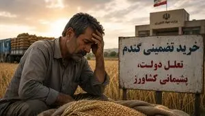 خرید تضمینی گندم؛ تعلل دولت، پشیمانی کشاورز