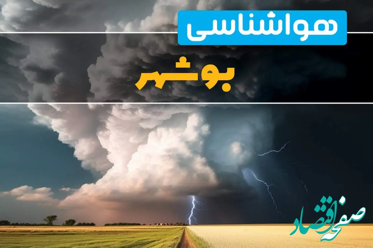 اخبار پیش بینی هواشناسی بوشهر فردا ۲۹ بهمن ماه ۱۴۰۳ | پیش بینی آب و هوا بوشهر فردا دوشنبه ۲۹ بهمن ماه