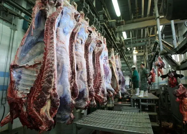 وضعیت تامین گوشت قرمز و قیمت گوشت در کشور چگونه است؟ 