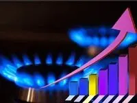 هشدار عضو کمیسیون اجتماعی درباره تبعات افزایش قیمت گاز