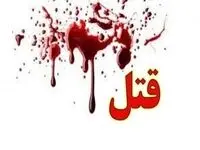 از جشن تولد خونین در باغ ویلا تا قتل دلخراش دو جوان... 