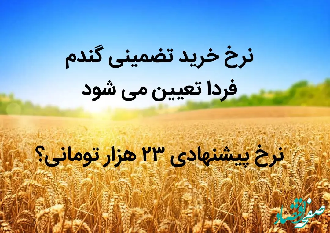 نرخ خرید تضمینی گندم فردا تعیین می شود | نرخ پیشنهادی ۲۳ هزار تومانی؟ 