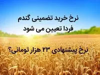 نرخ خرید تضمینی گندم فردا تعیین می شود | نرخ پیشنهادی ۲۳ هزار تومانی؟ 
