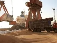 آخرین خبر از خرید تضمینی گندم | خرید بیش از ۴۱۵ هزار تن گندم از کشاورزان این استان