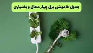 قطعی برق چهارمحال و بختیاری فردا سه شنبه ۲۷ مرداد + جدول 