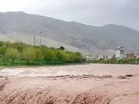 فوری | یک نفر بر اثر سیل در این استان مفقود شد
