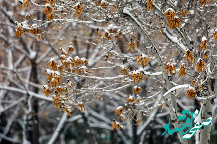 هواشناسی گلستان ۲۴ ساعت آینده | پیش بینی وضعیت آب و هوا گلستان فردا جمعه ۲۳ آذر ماه ۱۴۰۳ 