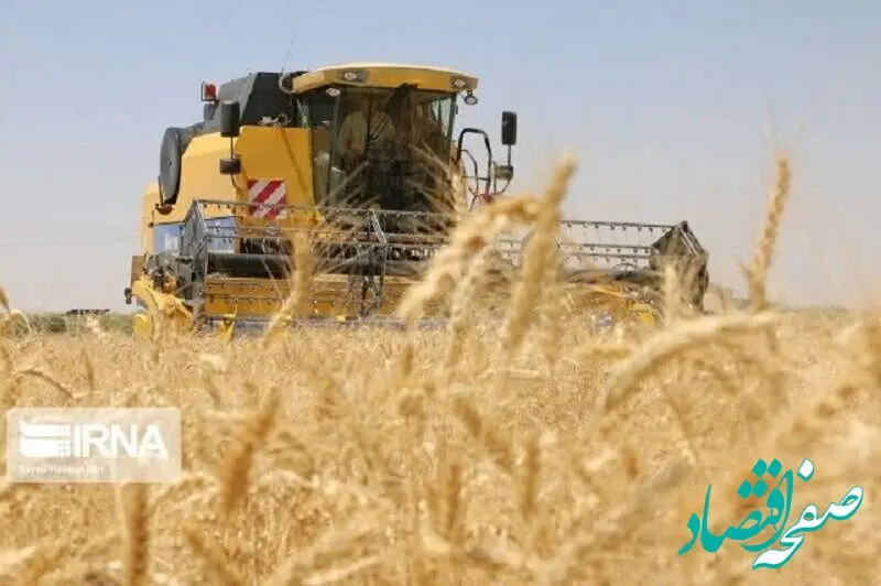 کدام استان در تولید و خرید گندم موفق بوده است؟