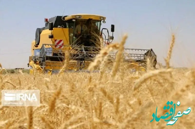 کدام استان در تولید و خرید گندم موفق بوده است؟