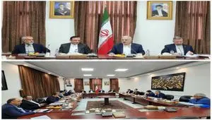 در نشستی با حضور "وحید جلال‌زاده" معاون کنسولی، مجلس و ایرانیان وزارت امور خارجه و "رضا مسرور" دبیر شورای‌عالی مناطق آزاد و ویژه اقتصادی، بر لزوم بهره‌گیری حداکثری از ظرفیت‌های مناطق آزاد در راستای تقویت دیپلماسی اقتصادی کشور تأکید شد