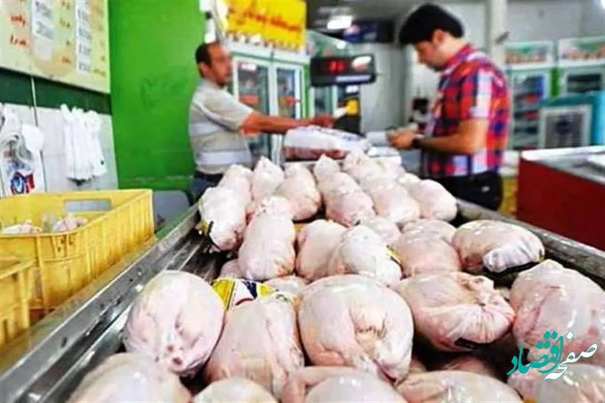 گزارش اختصاصی صفحه اقتصاد از بی ثباتی قیمت ها در بازار مرغ