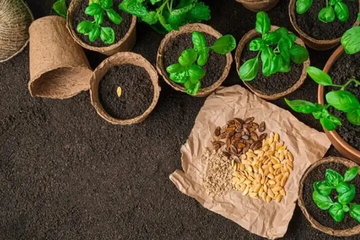 چند درصد بذر مورد نیاز در داخل کشور تولید می شود؟ 