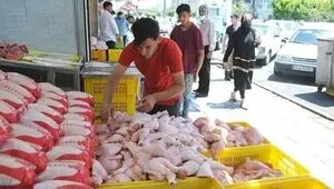 مازاد ۱۰ هزار تنی مرغ روی زمین ماند