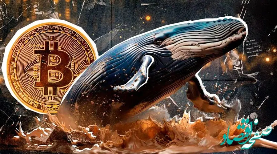 خرید بزرگ نهنگ بیت‌کوین به ارزش بیش از ۲۰۰ میلیون دلار