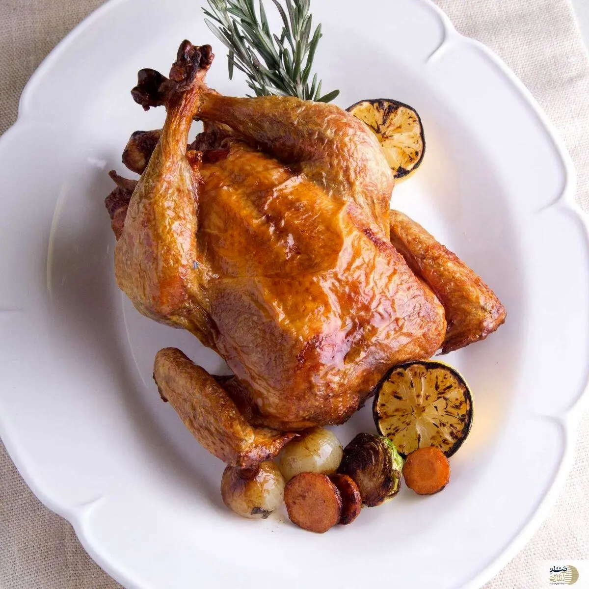 کدام قسمت های مرغ را نباید مصرف کرد؟ + توصیه های بهداشتی برای مصرف مرغ