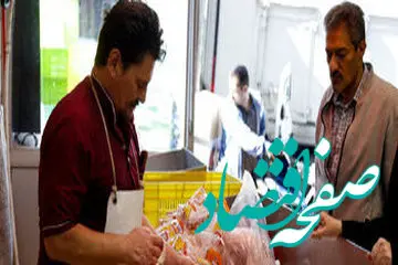 علت چند نرخی بودن این روزهای قیمت مرغ چیست؟ | مرغ با قیمت مصوب را از این مراکز بخرید