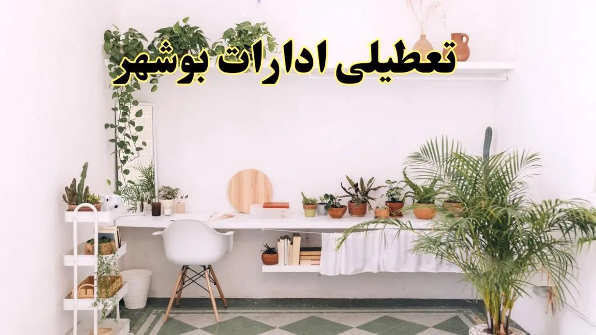 تعطیلی ادارات استان بوشهر فردا شنبه ۱۰ خرداد ۱۴۰۴ | آیا شنبه ۱۰ خرداد ادارات بوشهر تعطیل است؟