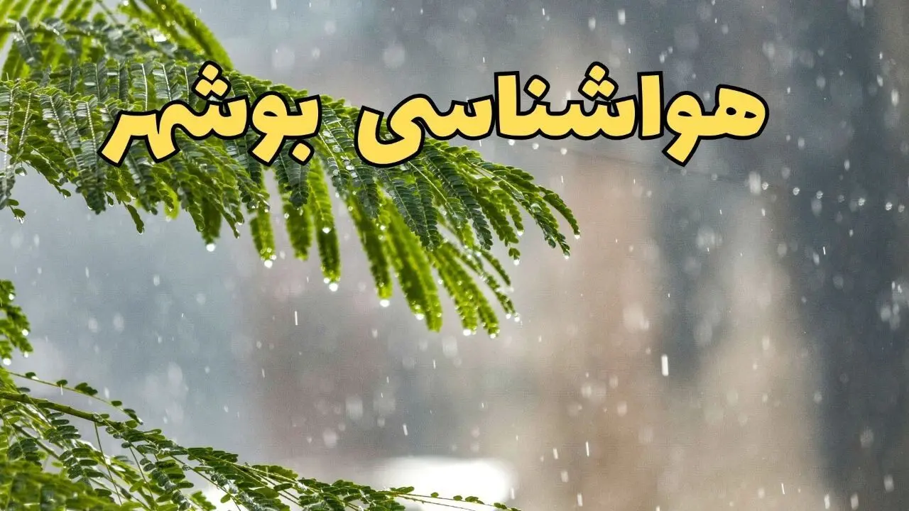 پیش بینی هواشناسی بوشهر ۲۴ ساعت آینده | وضعیت آب و هوا بوشهر فردا پنجشنبه ۱۴ فروردین ماه ۱۴۰۴ | آب و هوای بوشهر 