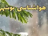 وضعیت آب و هوا بوشهر فردا سه شنبه ۱۹ فروردین ماه ۱۴۰۴ | پیش بینی هواشناسی بوشهر ۲۴ ساعت آینده + آب و هوای بوشهر