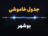 جدول خاموشی برق بوشهر پنجشنبه ۱۱ بهمن ۱۴۰۳ + جدول قطعی برق بوشهر پنجشنبه ۱۱ بهمن ۱۴۰۳