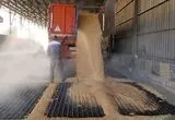 جدیدترین خبر از پرداخت مطالبات گندمکاران امروز چهارشنبه ۸ مرداد ماه ۱۴۰۴ | از خرید تضمینی گندم  تا عاملان کوتاهی در پرداخت مطالبات
