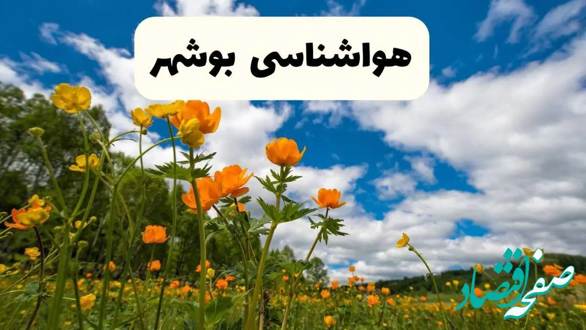 پیش بینی وضعیت آب و هوا بوشهر فردا پنجشنبه ۱۸ اردیبهشت ماه ۱۴۰۴ + جدول هواشناسی بوشهر ۲۴ ساعت آینده