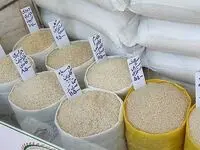 قیمت برنج ایرانی در اردیبهشت ماه ۱۴۰۴ +جدول | از کجا برنج بخریم؟