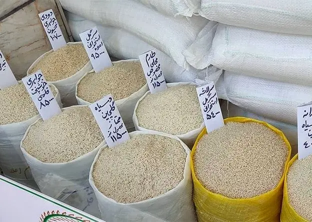 قیمت برنج ایرانی در اردیبهشت ماه ۱۴۰۴ +جدول | از کجا برنج بخریم؟