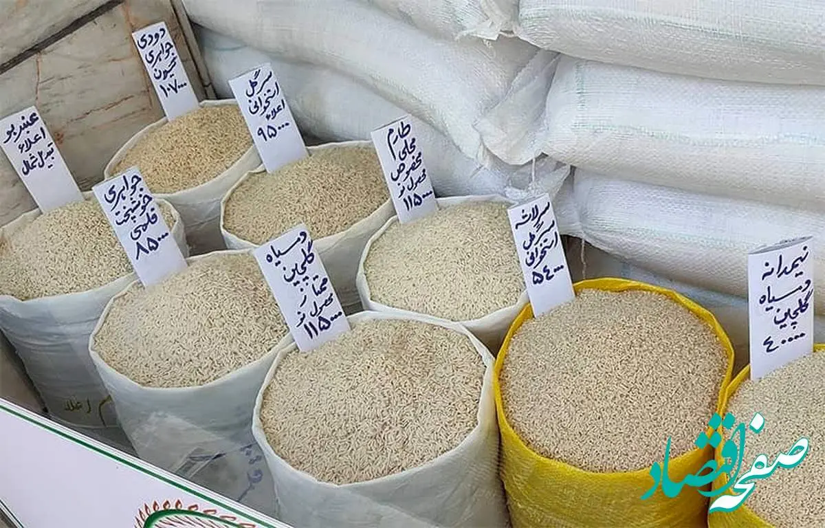 قیمت برنج ایرانی در اردیبهشت ماه ۱۴۰۴ +جدول | از کجا برنج بخریم؟