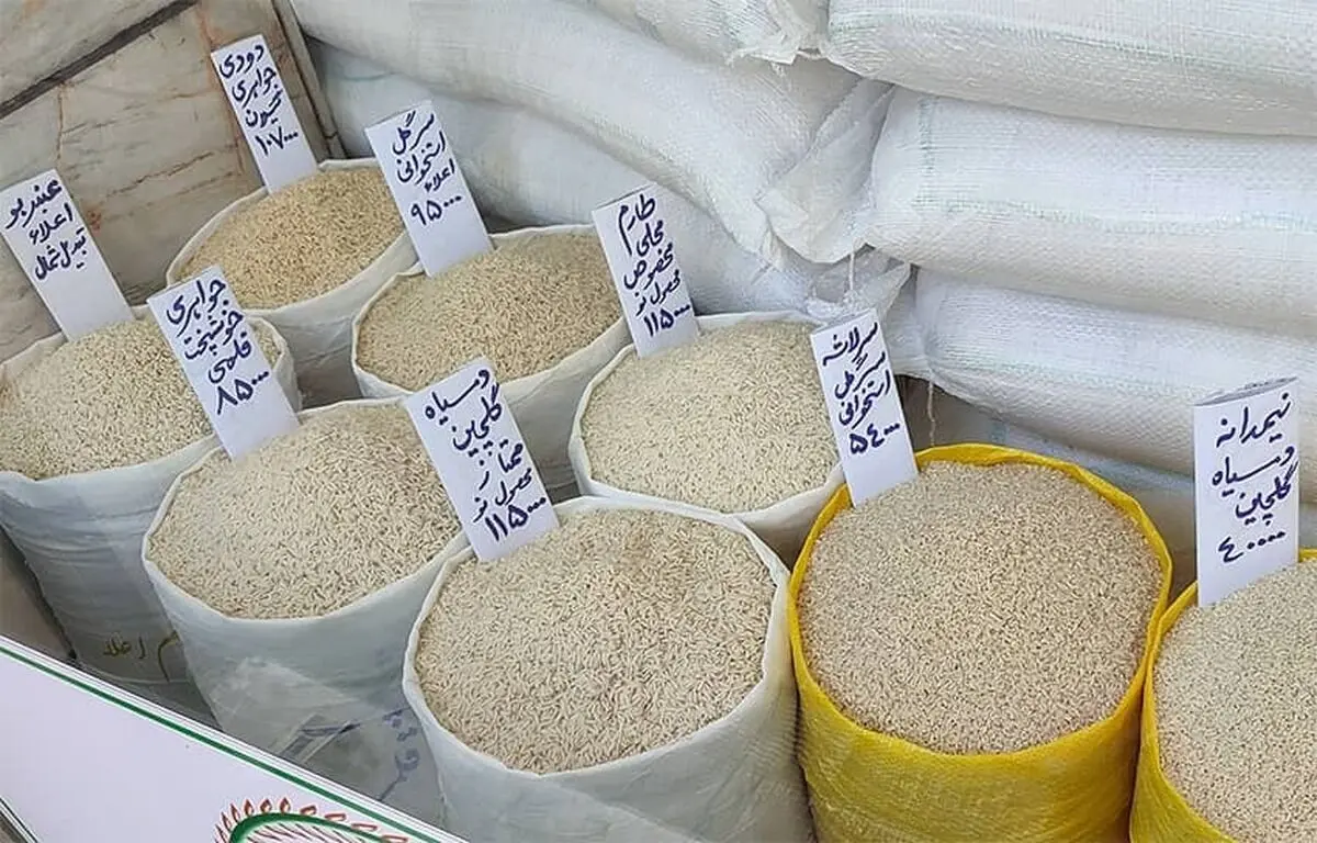 قیمت برنج ایرانی در اردیبهشت ماه ۱۴۰۴ +جدول | از کجا برنج بخریم؟