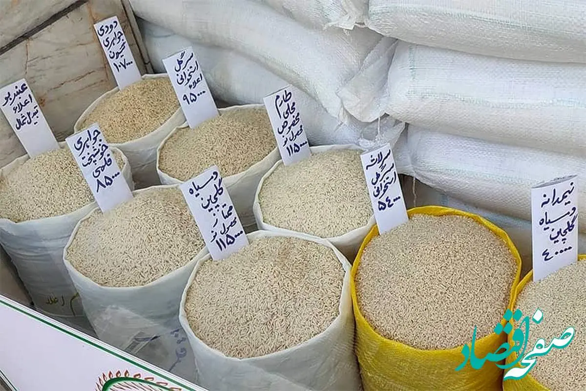 قیمت برنج ایرانی در اردیبهشت ماه ۱۴۰۴ +جدول | از کجا برنج بخریم؟