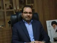 «سعید شجاعی» معاون برنامه‌ریزی، نوآوری و هوشمندسازی وزارت صمت شد