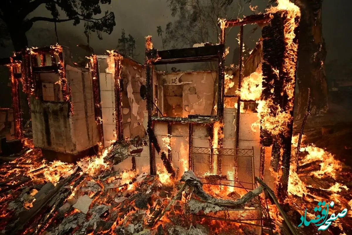 وحشت دختر ایرانی از دزدی‌های وحشیانه در خانه‌های میلیون دلاری لس‌آنجلس میان آتش‌سوزی‌ها!