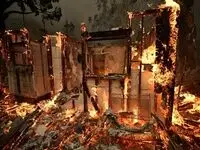 وحشت دختر ایرانی از دزدی‌های وحشیانه در خانه‌های میلیون دلاری لس‌آنجلس میان آتش‌سوزی‌ها!