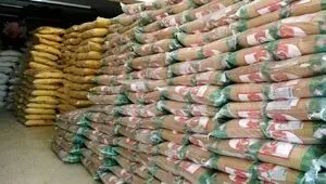 خبر فوری از احتکار ۳۴ تن برنج در شفت