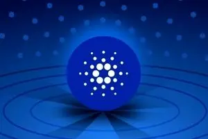 جدیدترین قیمت کاردانو امروز یکشنبه ۲۸ اردیبهشت ماه ۱۴۰۴