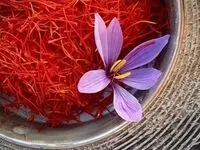 زعفران در اوج گرانی!/کشاورزان الگوی فروش را تغییر دادند
