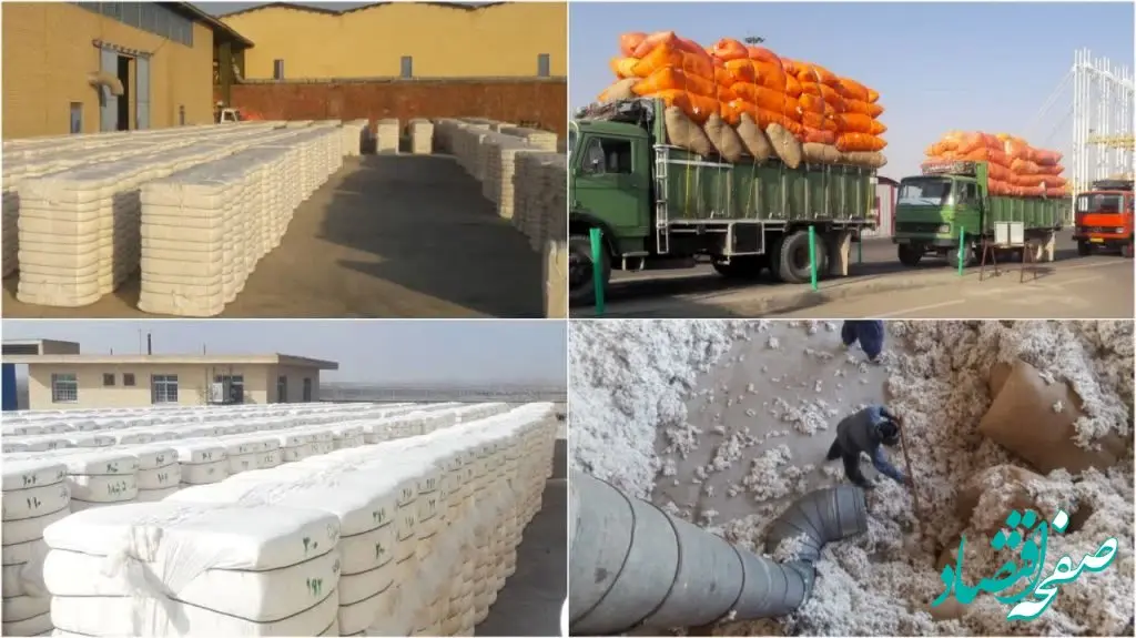 آغاز فرآوری طلای سفید در منطقه ویژه اقتصادی سرخس