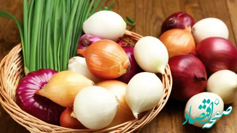 قیمت پیاز به این علت گران شد! | قیمت جدید پیاز