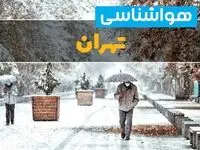 پیش بینی وضعیت آب و هوا تهران فردا یکشنبه ۱۲ اسفند ۱۴۰۳ | پیش بینی هواشناسی تهران طی ۲۴ ساعت آینده + آب و هوای تهران و کاهش دما