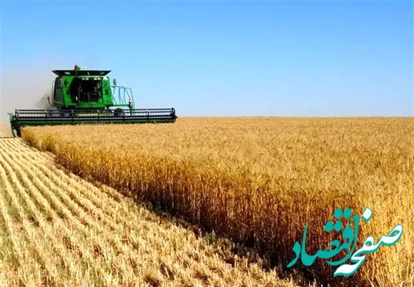 واریز 303 هزار میلیارد ریال از وجوه خرید تضمینی گندم توسط بانک کشاورزی