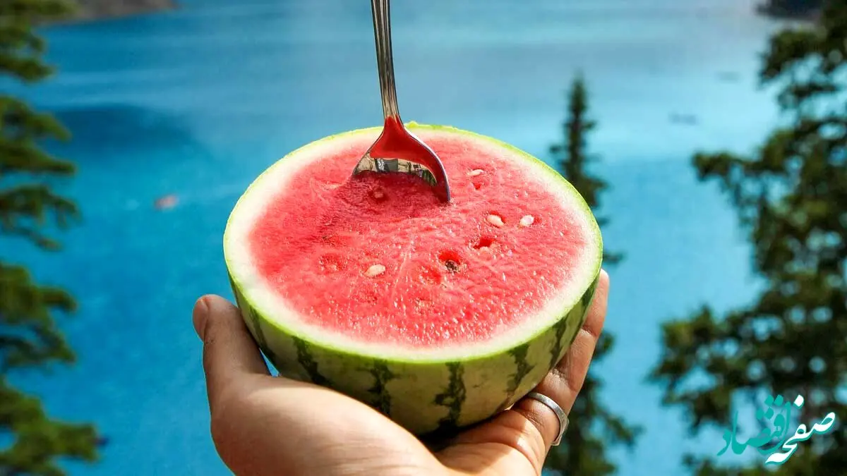 چگونه هندوانه ای قرمز برای یلدا انتخاب کنیم؟