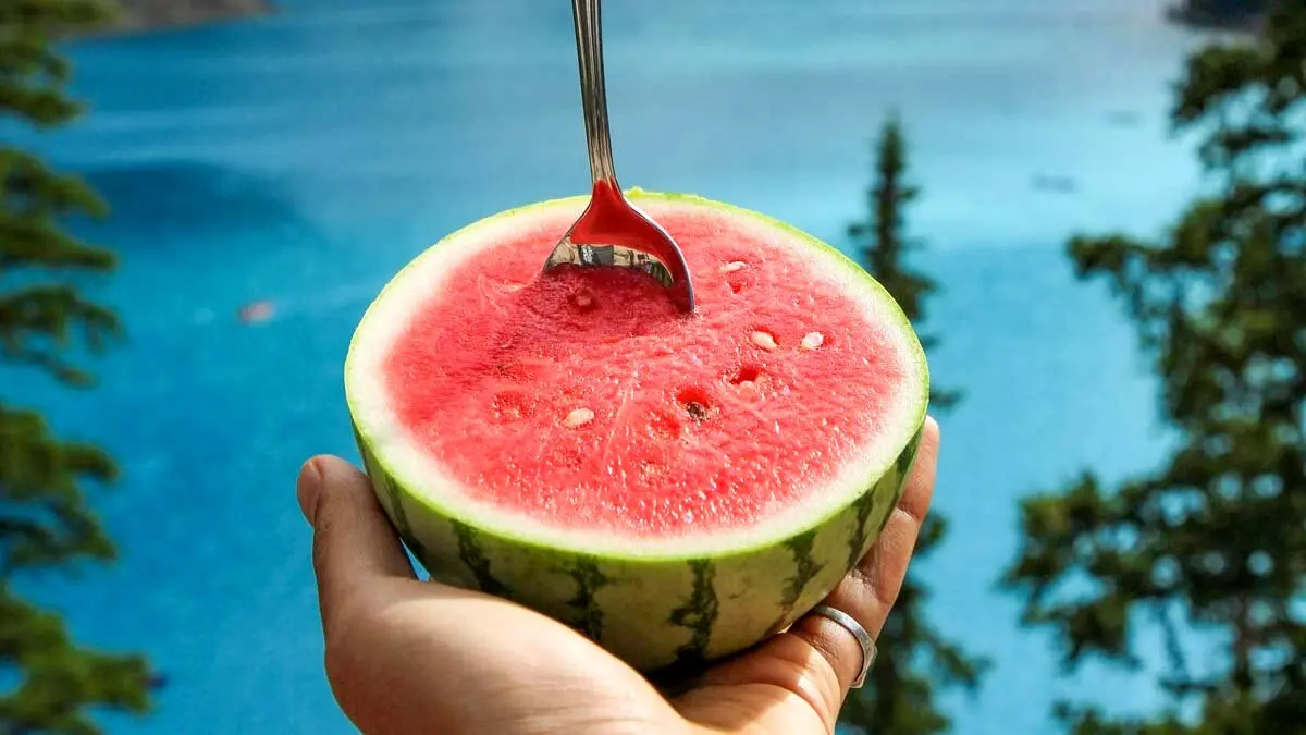 چگونه هندوانه ای قرمز برای یلدا انتخاب کنیم؟