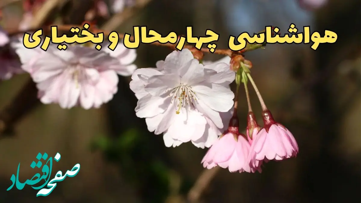 پیش بینی هواشناسی شهرکرد ۲۴ ساعت آینده | وضعیت آب و هوا چهارمحال و بختیاری فردا سه شنبه ۱۲ فروردین ماه ۱۴۰۴ | آب و هوای شهرکرد در روز ۱۳ بدر + هواشناسی چهارمحال و بختیاری