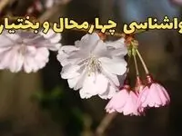 پیش بینی هواشناسی شهرکرد ۲۴ ساعت آینده | وضعیت آب و هوا چهارمحال و بختیاری فردا سه شنبه ۱۲ فروردین ماه ۱۴۰۴ | آب و هوای شهرکرد در روز ۱۳ بدر + هواشناسی چهارمحال و بختیاری