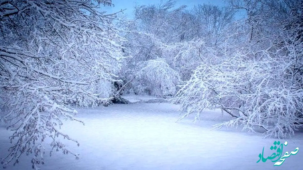 پیش بینی وضعیت آب و هوا مازندران فردا یکشنبه ۱۱ آذر ماه ۱۴۰۳ | هواشناسی مازندران طی روز آینده 