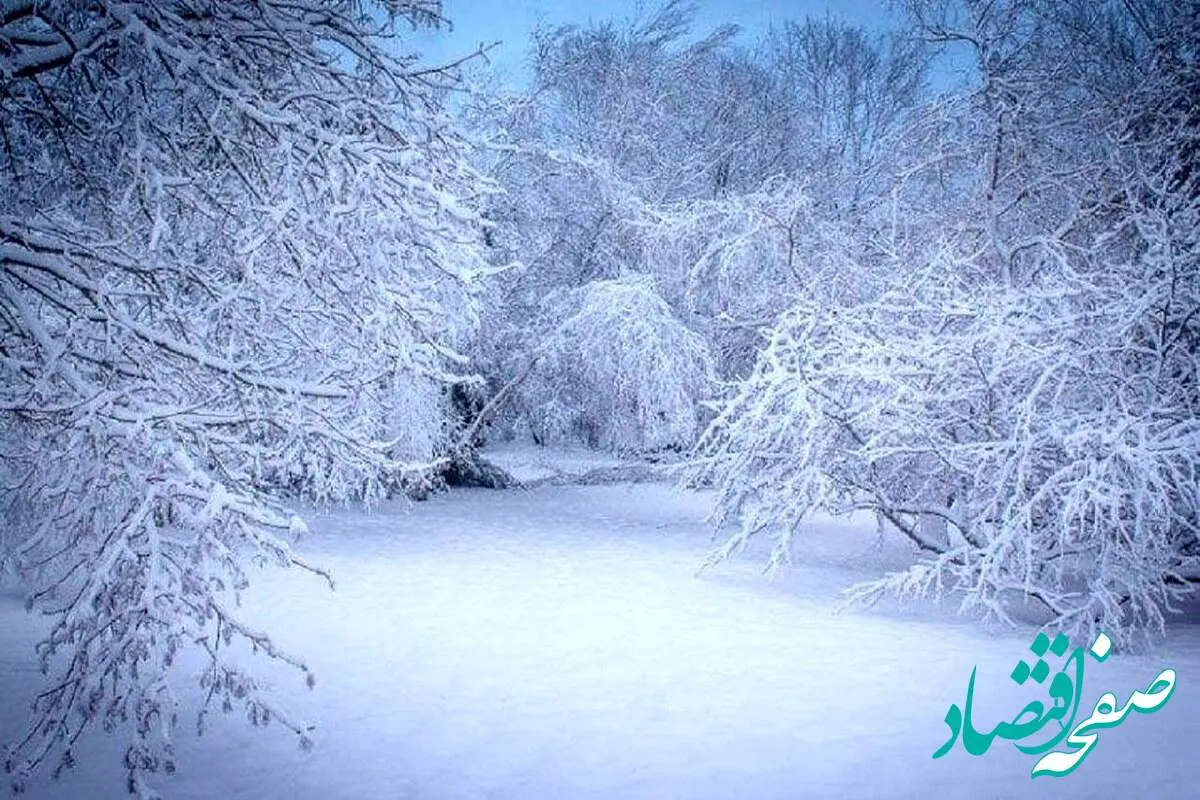 پیش بینی وضعیت آب و هوا مازندران فردا یکشنبه ۱۱ آذر ماه ۱۴۰۳ | هواشناسی مازندران طی روز آینده 